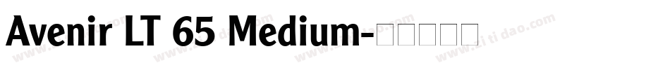 Avenir LT 65 Medium字体转换